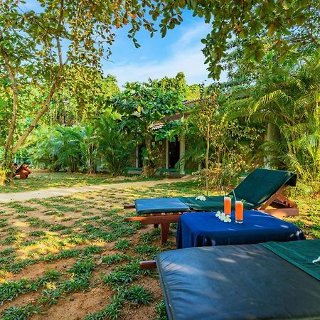 Sath Villa Naadi Ayurveda Resort Moragalla Dış mekan fotoğraf