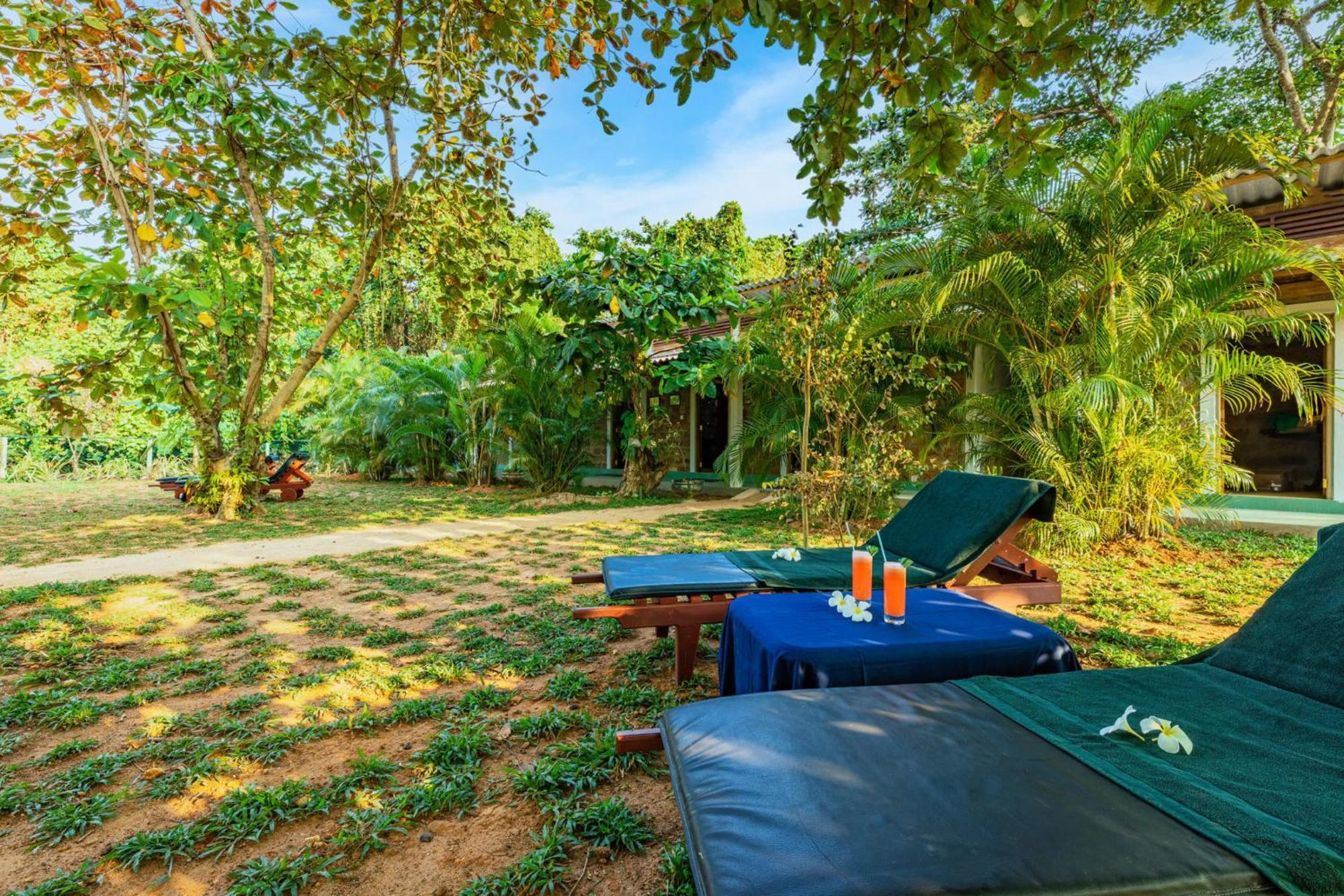 Sath Villa Naadi Ayurveda Resort Moragalla Dış mekan fotoğraf